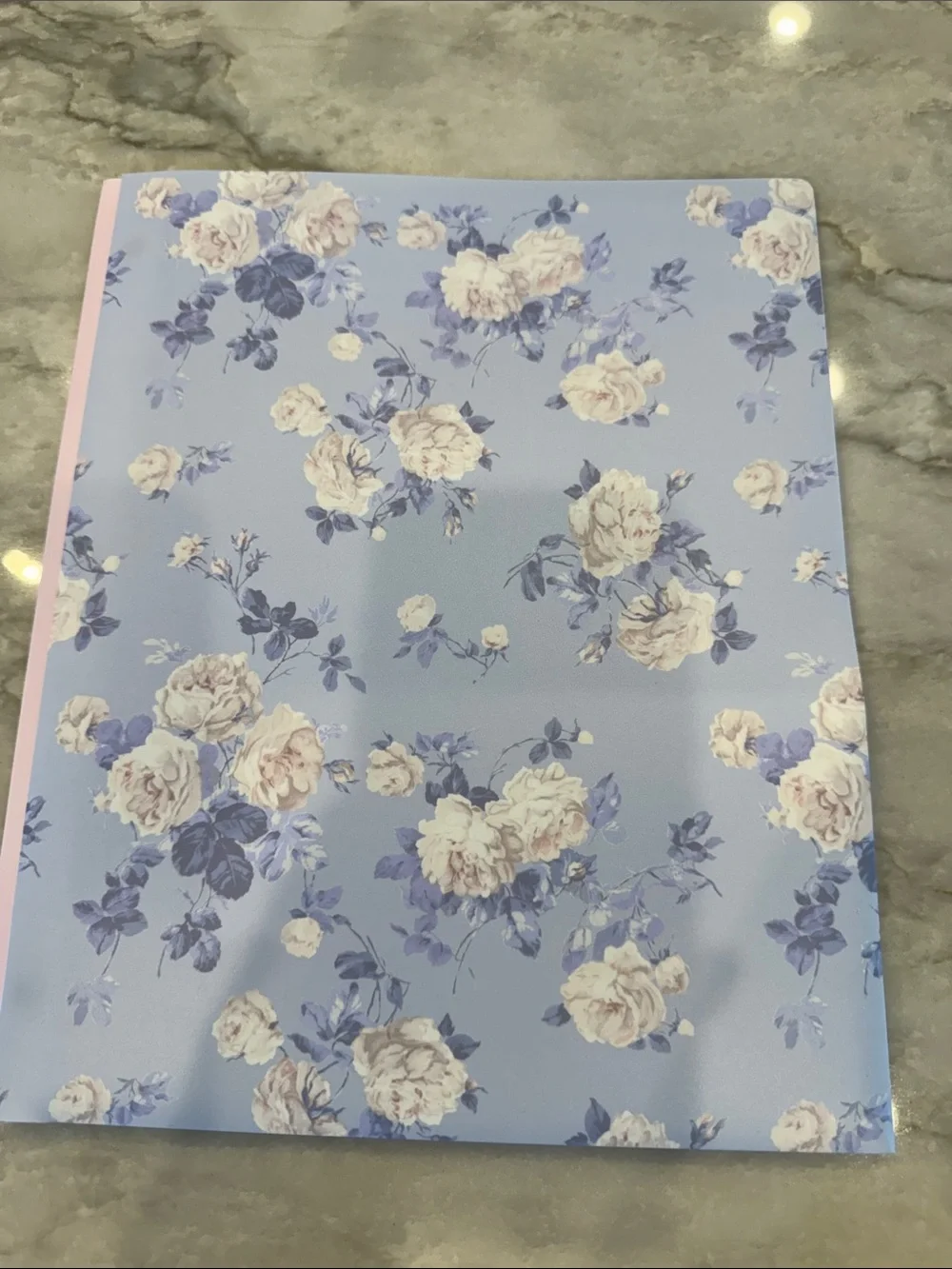 Love shack fancy Light Blue Floral Kids Accessory Pouch & Pen Set